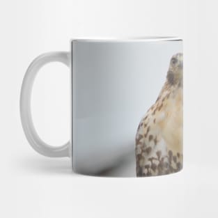 RedTail Hawk Mug